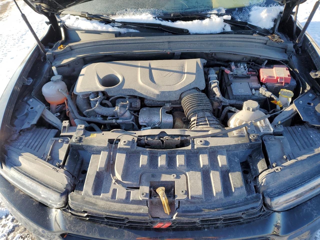 2024 DODGE HORNET R/T VIN:ZACPDFCW3R3A11174