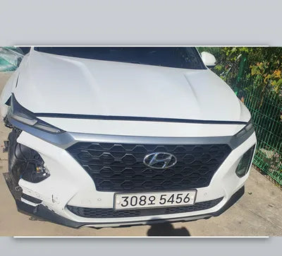 2019 Hyundai Santa FE KMHS281CBKU107302 VIN:KMHS281CBKU107302