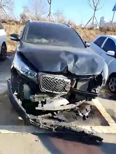 2016 Kia Sorento KNAPK81BDHA295926 VIN:KNAPK81BDHA295926
