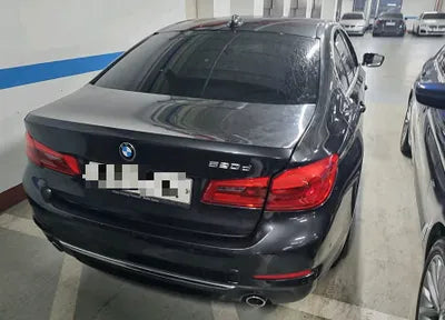 2019 BMW 520 WBAJF3104KWW02934 VIN:WBAJF3104KWW02934