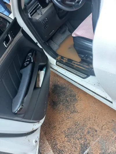 2021 Kia K5 KNAG541JBMA013217 VIN:KNAG541JBMA013217