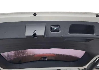 2020 Hyundai Santa FE KMHS281CDLU225449 VIN:KMHS281CDLU225449