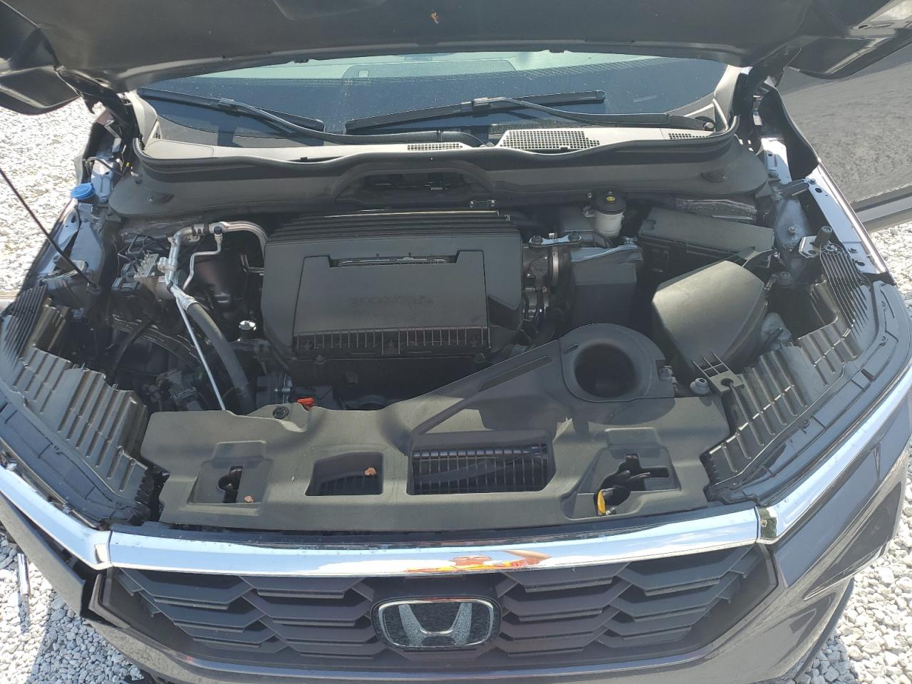 2023 HONDA PILOT EXL VIN:5FNYG1H4XPB054431