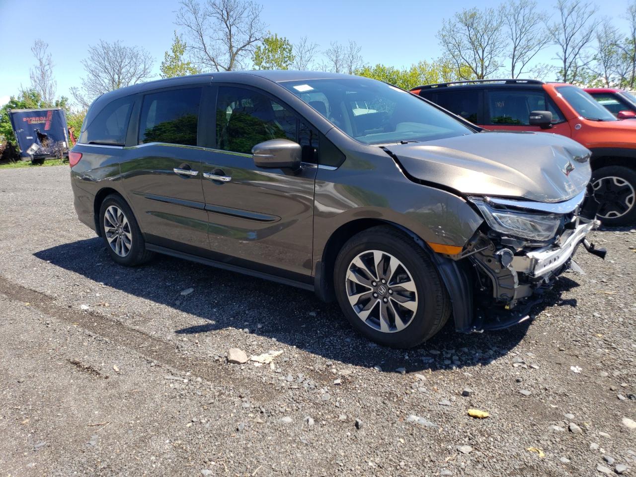 2023 HONDA ODYSSEY EXL VIN:5FNRL6H60PB033294