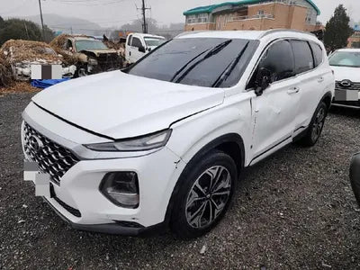 2019 Hyundai Santa FE KMHS581CBKU116989 VIN:KMHS581CBKU116989