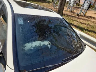 2017 Mercedes-Benz C 200 WDDWF3HB6HR301370 VIN:WDDWF3HB6HR301370