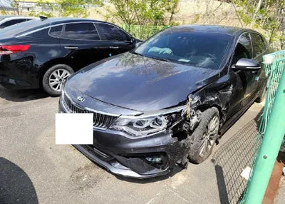 2019 Kia K5 KNAGU411BKA254091 VIN:KNAGU411BKA254091