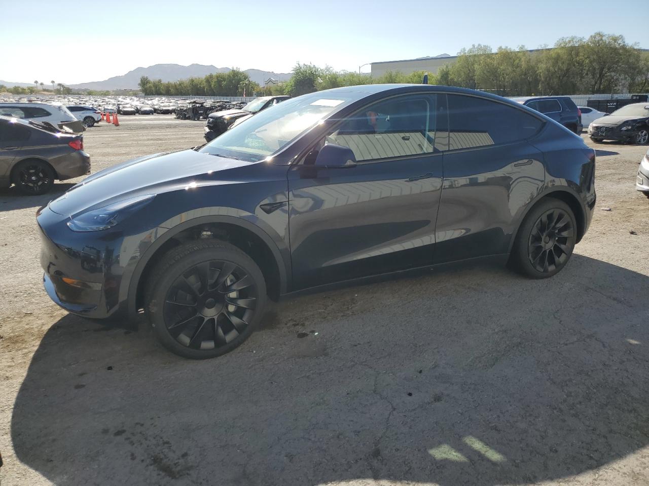 2024 TESLA MODEL Y  VIN:7SAYGDED4RF017872