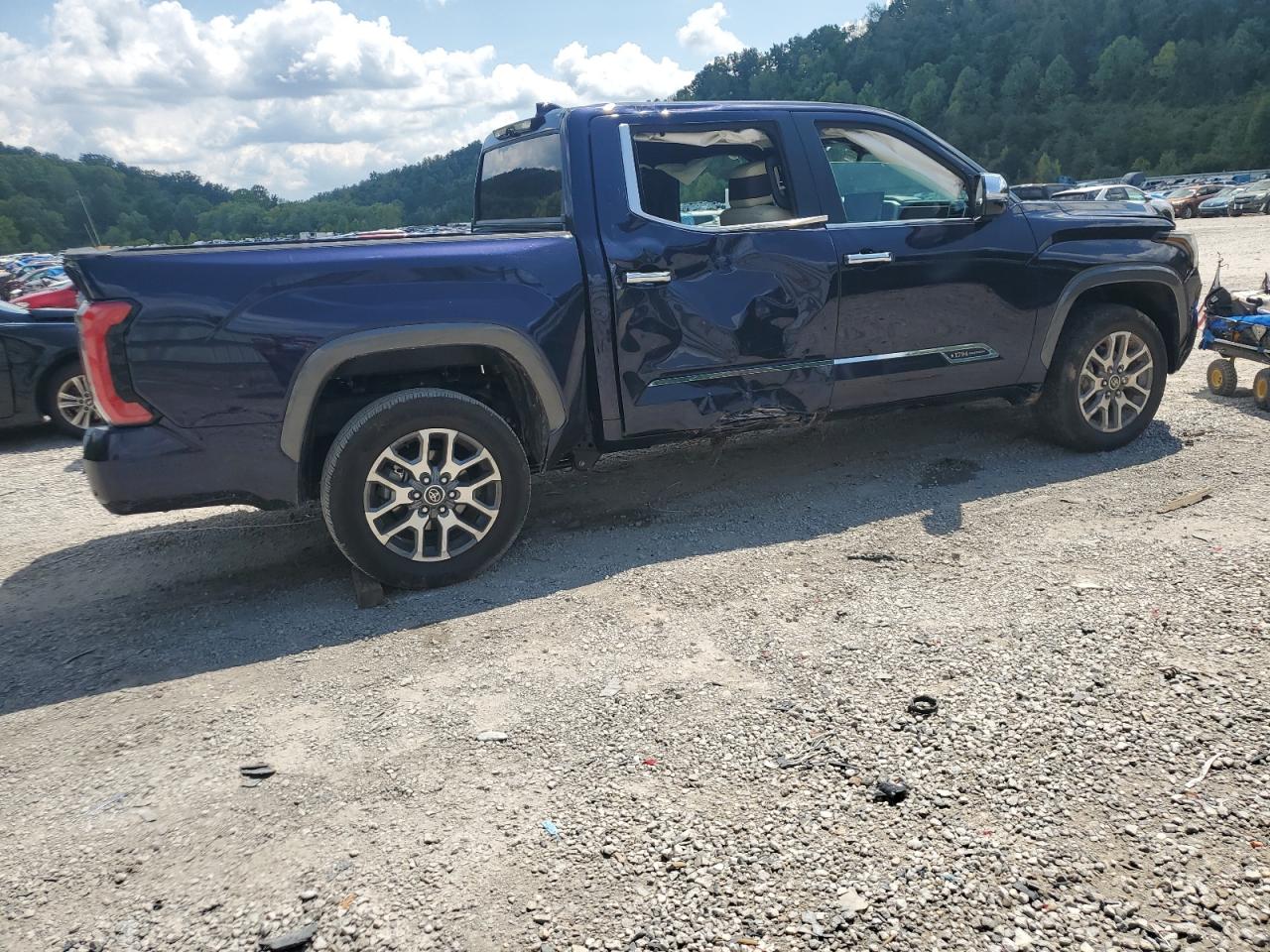 2023 TOYOTA TUNDRA CREWMAX PLATINUM VIN:5TFMA5DB8PX110206