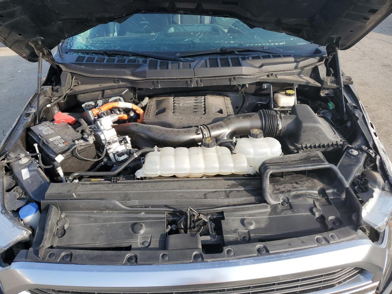 2023 FORD F150 SUPERCREW VIN:1FTFW1ED3PFA13553