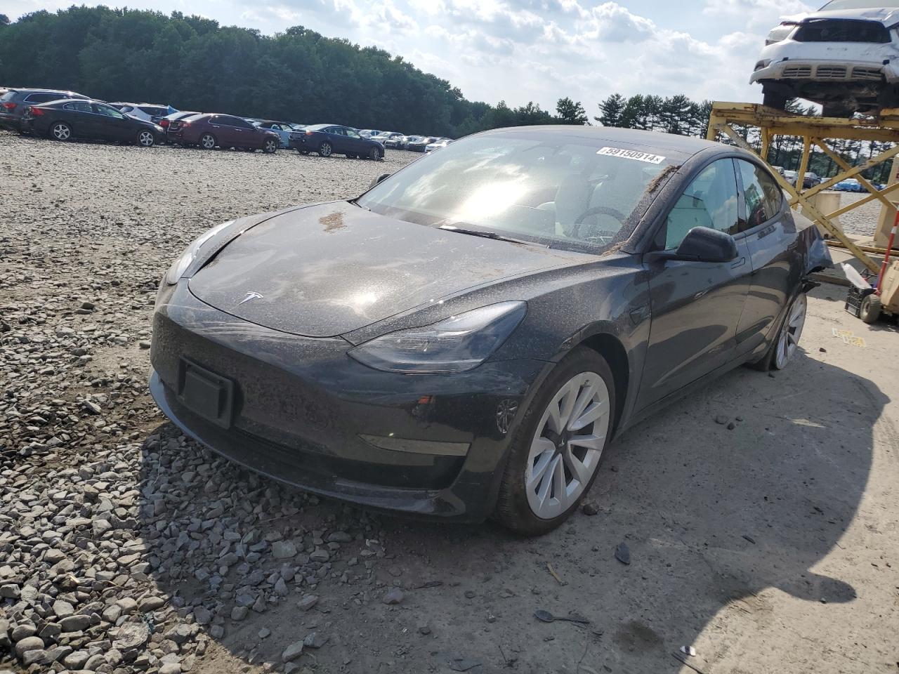 2023 TESLA MODEL 3  VIN:5YJ3E1EAXPF549903