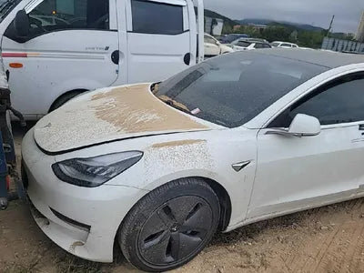 2020 Tesla Model 3 VIN: