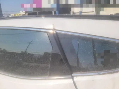 2017 Hyundai Santa FE KMHSW81UBJU804806 VIN:KMHSW81UBJU804806