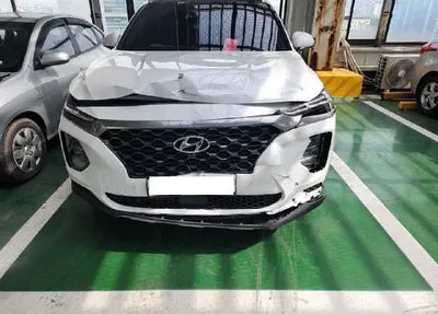 2019 Hyundai Santa FE KMHS381CDKU013123 VIN:KMHS381CDKU013123