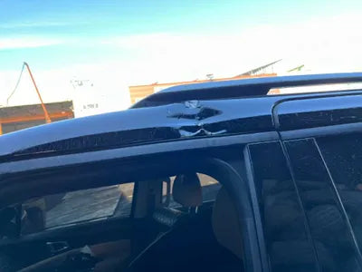 2021 Kia Carnival KNANE81BBMS002533 VIN:KNANE81BBMS002533