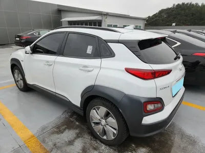 2020 Hyundai Kona KMHK381GFLU102366 VIN:KMHK381GFLU102366
