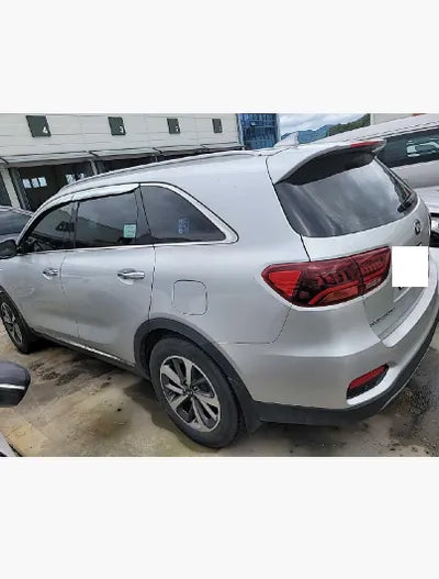 2020 Kia Sorento KNAPG81BDLA590067 VIN:KNAPG81BDLA590067