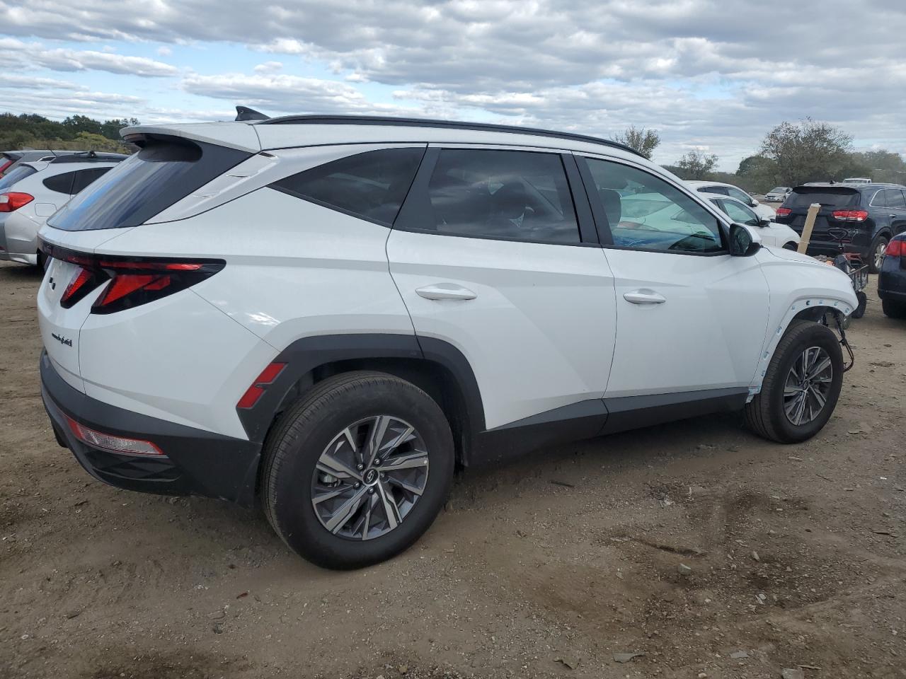2024 HYUNDAI TUCSON BLUE VIN:KM8JBCD16RU194926