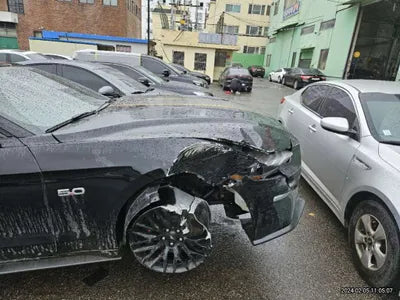 2019 Ford Mustang GT 738KM1FATP8FF9K51 VIN:738KM1FATP8FF9K51