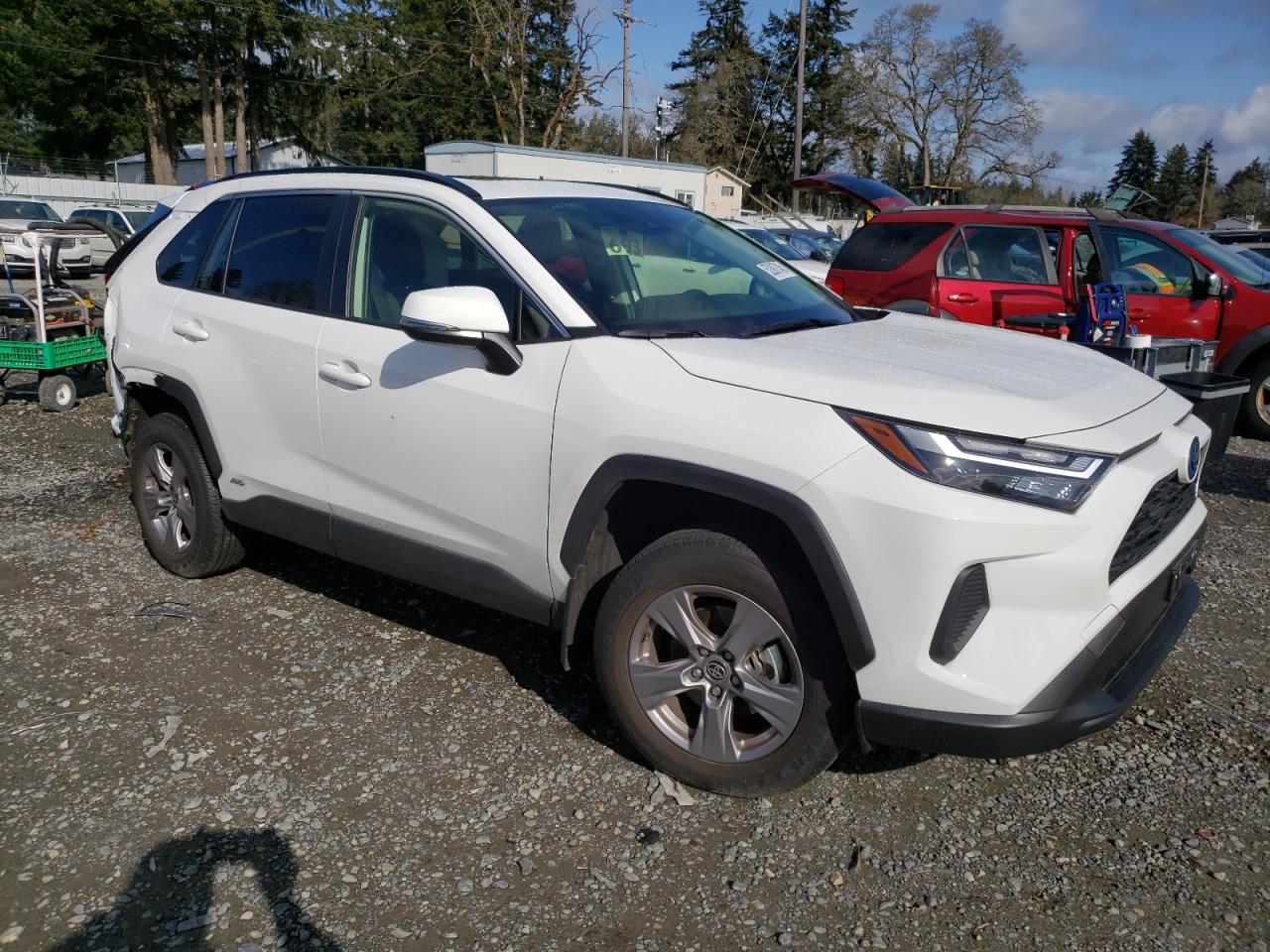 2024 TOYOTA RAV4 XLE VIN:JTMRWRFV8RD224765