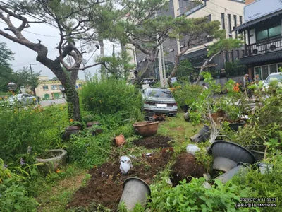 2020 BMW 740 WBA7T410XLCE40015 VIN:WBA7T410XLCE40015