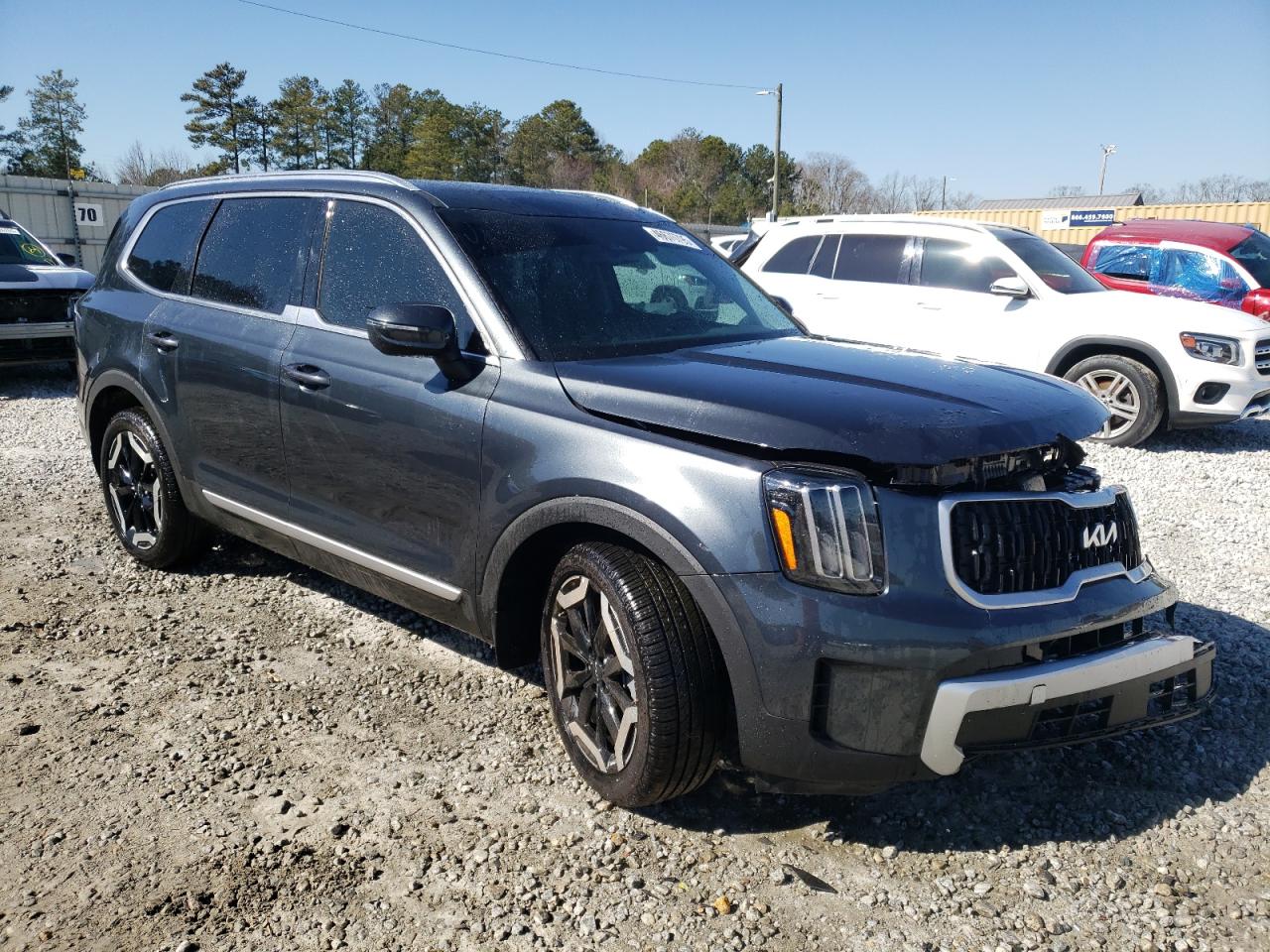 2024 KIA TELLURIDE EX VIN:5XYP3DGC8RG556240