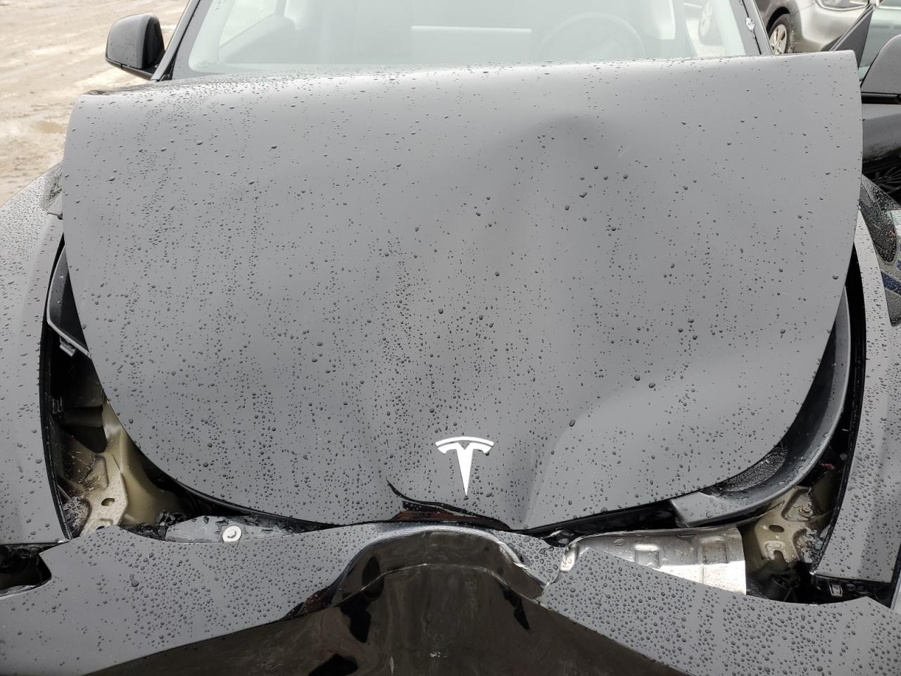 2023 TESLA MODEL Y  VIN:7SAYGAEE2PF922650