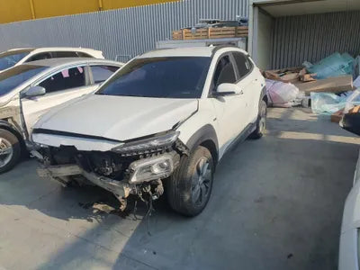 2019 Hyundai Kona KMHK381GFKU026006 VIN:KMHK381GFKU026006