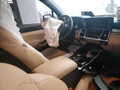 2021 Kia Sorento KNARL81GBMA050631 VIN:KNARL81GBMA050631