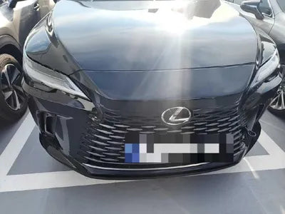 2023 Lexus RX 350 VIN: