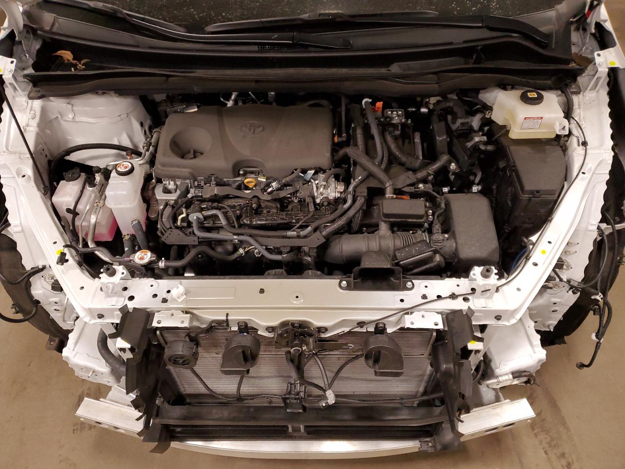 2024 TOYOTA SIENNA XLE VIN:5TDJRKEC1RS209234