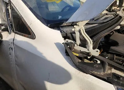 2017 Kia Carnival KNAMB81ABHS263732 VIN:KNAMB81ABHS263732