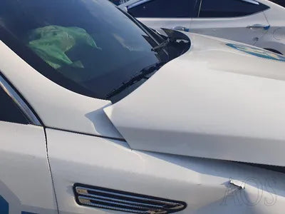 2019 Kia K5 KNAGT415GKA305801 VIN:KNAGT415GKA305801