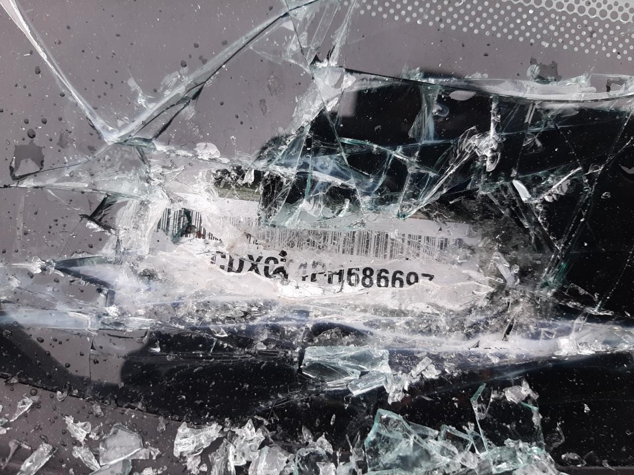 2023 DODGE CHARGER R/T VIN:2C3CDXCT4PH686697