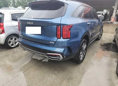 2023 Kia Sorento KNARL81GBPA160134 VIN:KNARL81GBPA160134