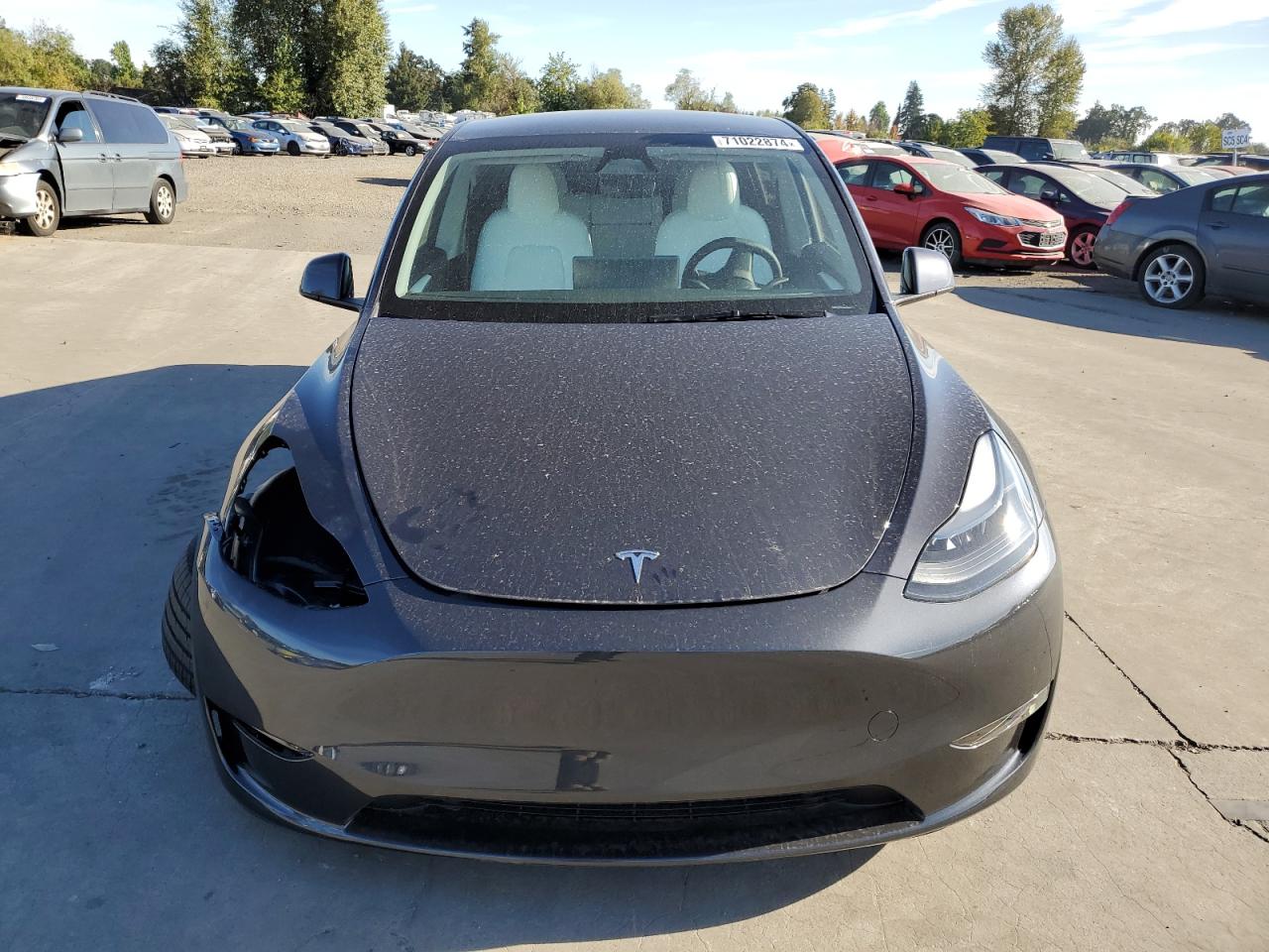 2024 TESLA MODEL Y  VIN:7SAYGAEE2RF080993