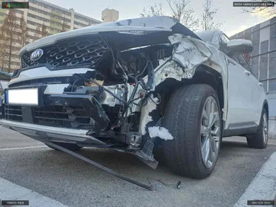 2020 Kia Sorento KNARM81BGMA049603 VIN:KNARM81BGMA049603