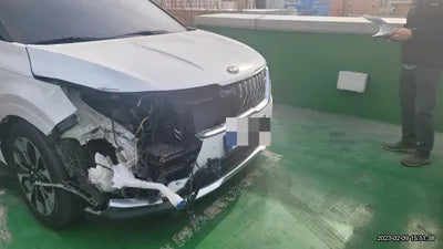 2021 Kia Carnival KNANE81BBMS067503 VIN:KNANE81BBMS067503