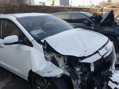 2019 Kia Carnival KNAMB81ABKS556683 VIN:KNAMB81ABKS556683