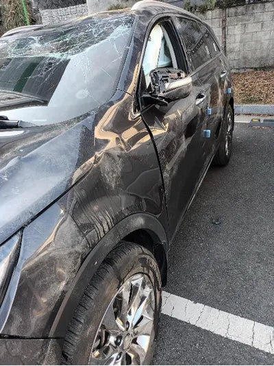 2019 Kia Sorento KNAPK81BDKA504403 VIN:KNAPK81BDKA504403