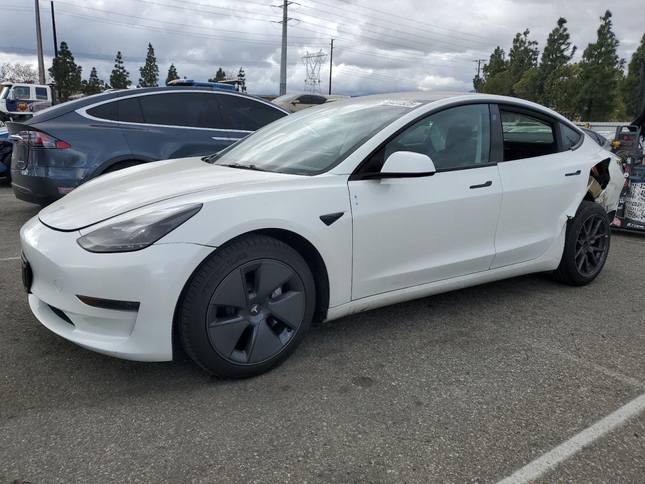 2023 TESLA MODEL 3  VIN:5YJ3E1EA0PF407706