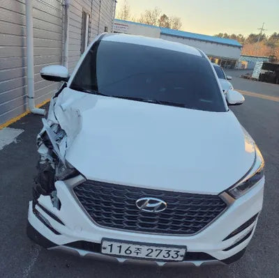2018 Hyundai Tucson KMHJ2815GJU732840 VIN:KMHJ2815GJU732840