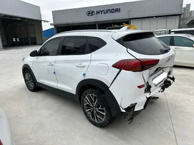 2019 Hyundai Tucson KMHJ5817GKU943387 VIN:KMHJ5817GKU943387