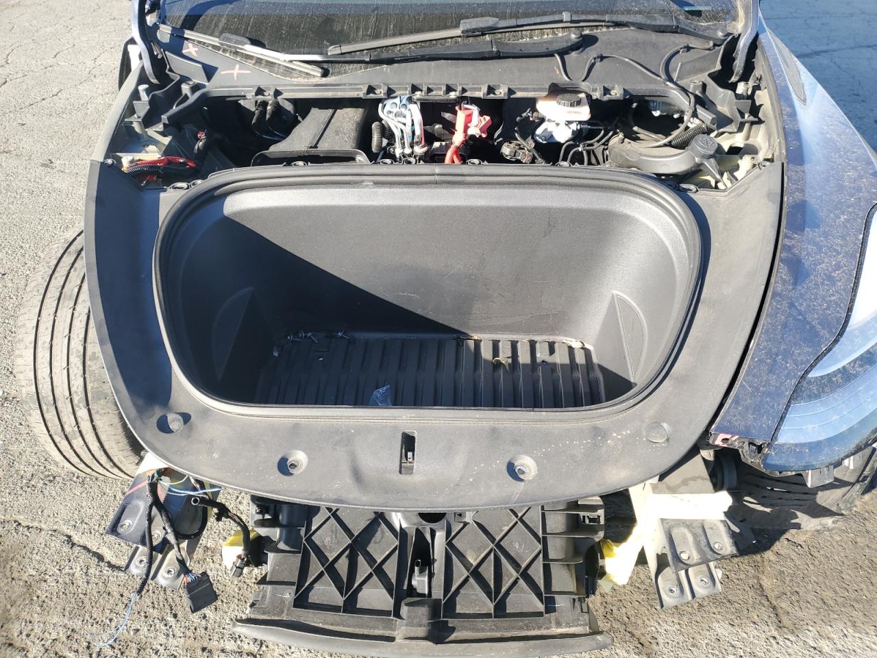 2023 TESLA MODEL Y  VIN:7SAYGDEE5PA077663