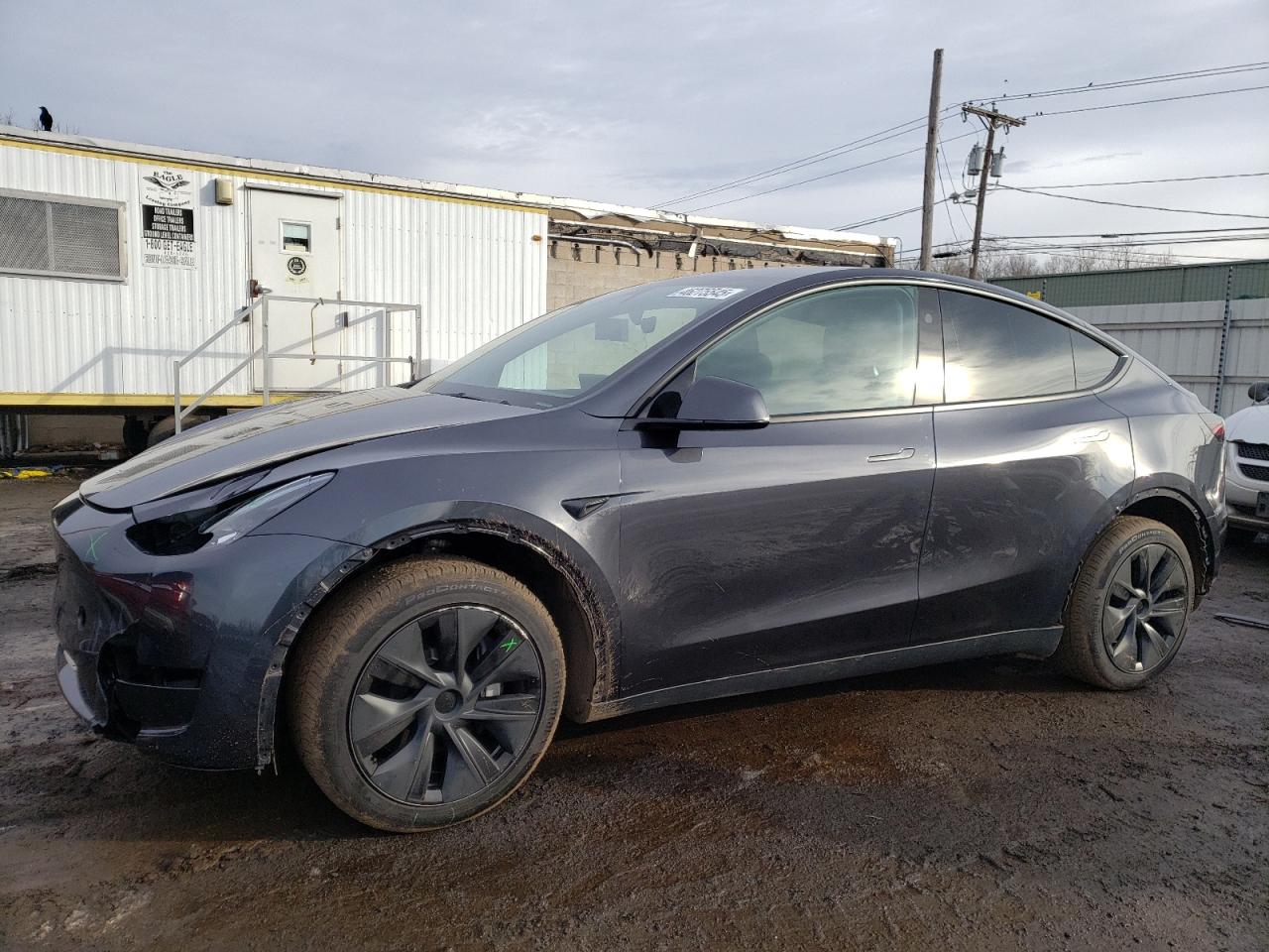 2024 TESLA MODEL Y  VIN:7SAYGDEE0RF200503