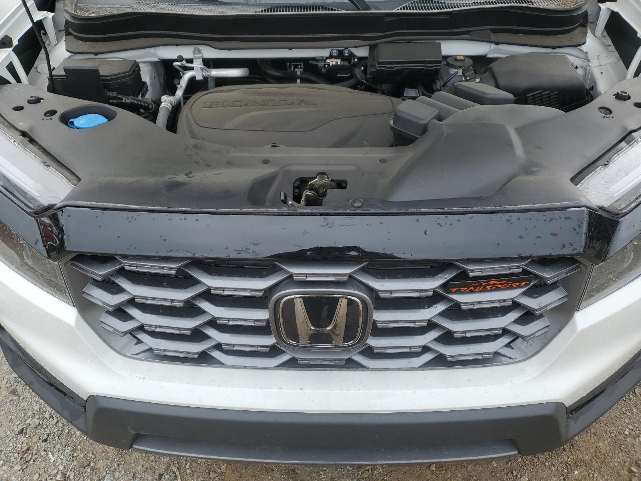 2024 HONDA PASSPORT TRAIL SPORT VIN:5FNYF8H66RB013794