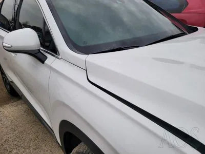 2019 Hyundai Santa FE KMHS381CBKU066794 VIN:KMHS381CBKU066794