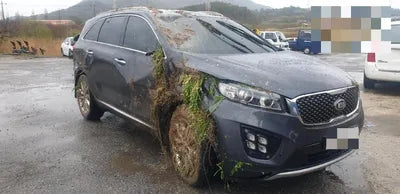 2016 Kia Sorento KNAPK81ABGA194335 VIN:KNAPK81ABGA194335