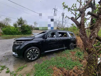 2020 Kia Carnival KNANE81BBMS006954 VIN:KNANE81BBMS006954