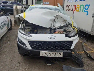 2021 Hyundai Kona KMHK281EGMU060134 VIN:KMHK281EGMU060134